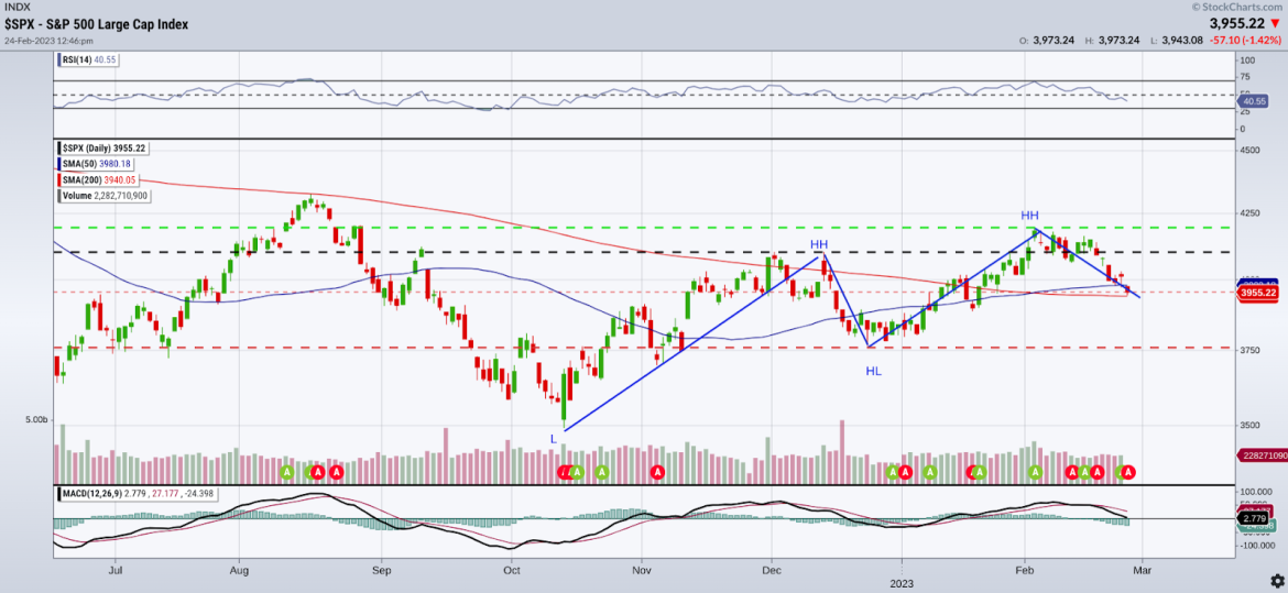 A Broad Market Bounceback or Bear Rally?