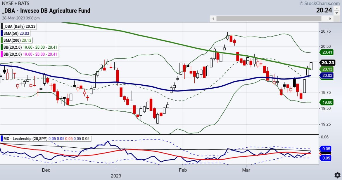 Why Buy DBA: Agricultural Fund ETF?