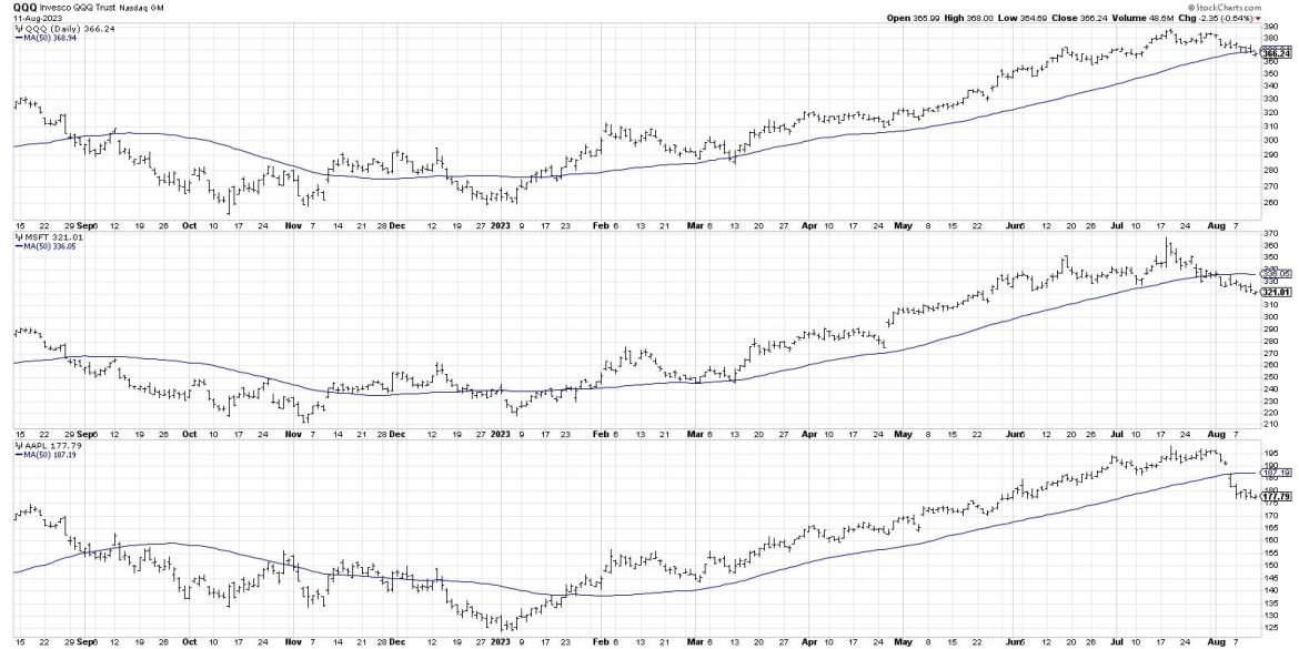 Charting the Great Rotation of 2023