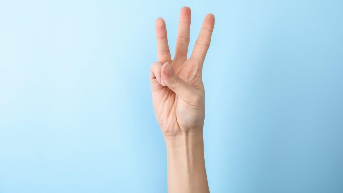 These 3 Stocks Keep Hitting New Highs And Can Still Surge: This Is The Time To Look For An Entry