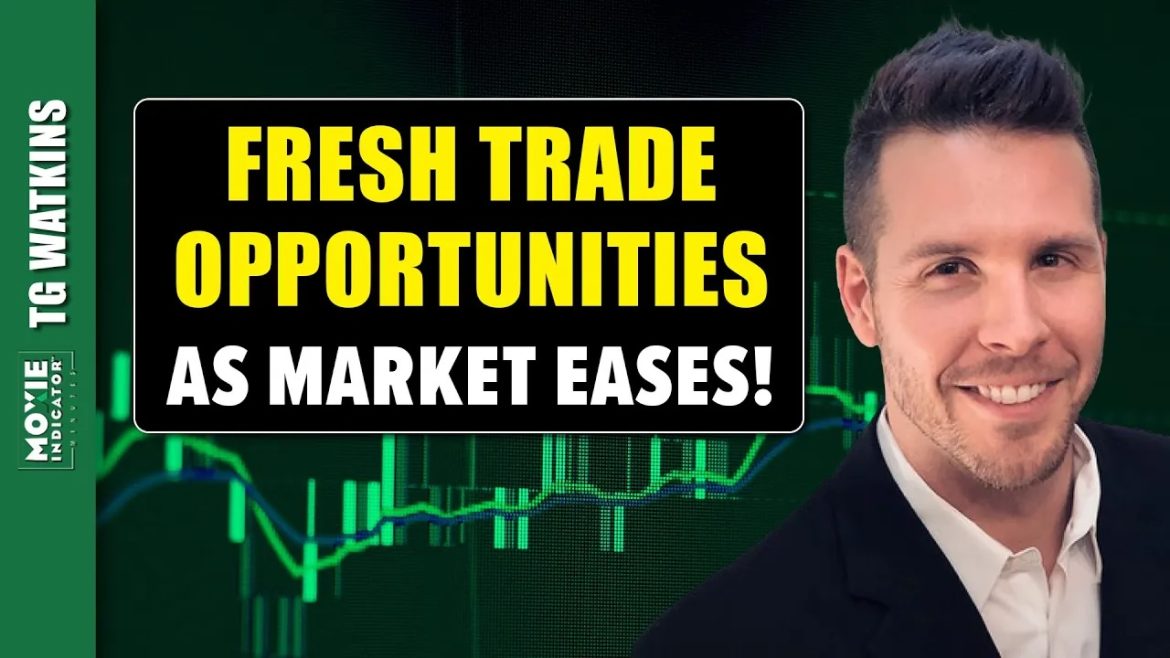Fresh Trade Opportunities as Market Eases Up on the Reins!