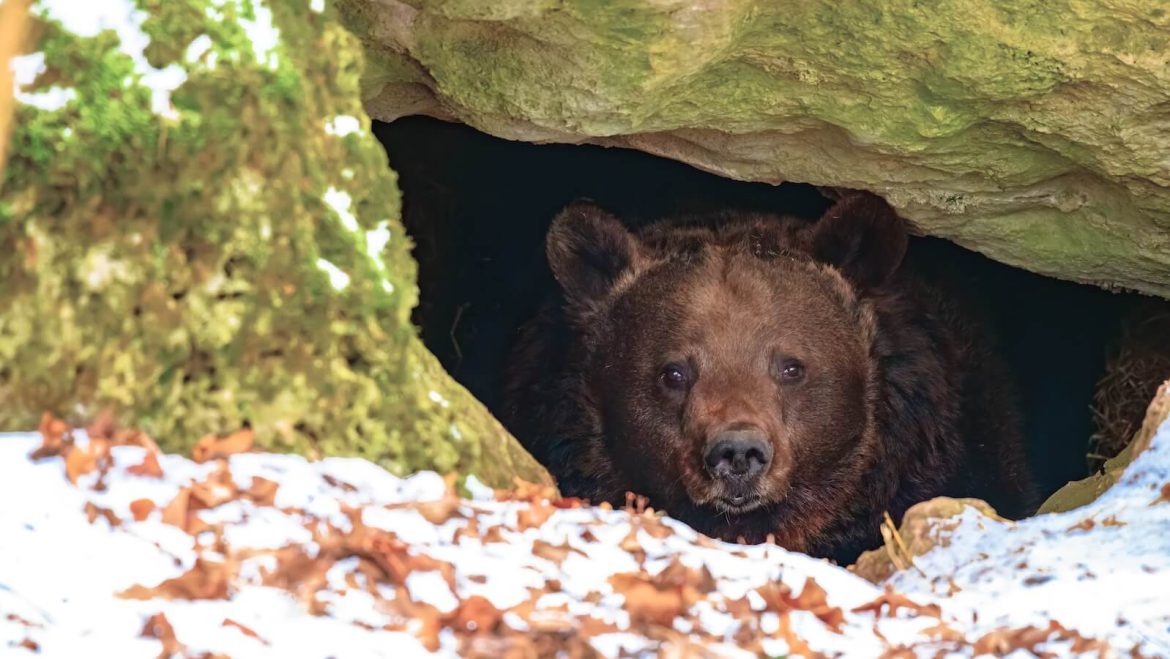 S&P 500 Approaches 100-Day Moving Average: Is Now an Attractive Time to Buy Stocks?