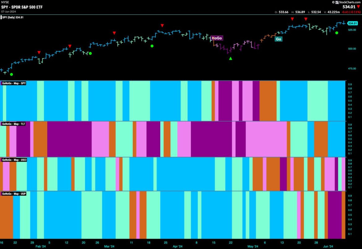 Equities Hit New All-Time Highs as Communications Joins Leadership Party