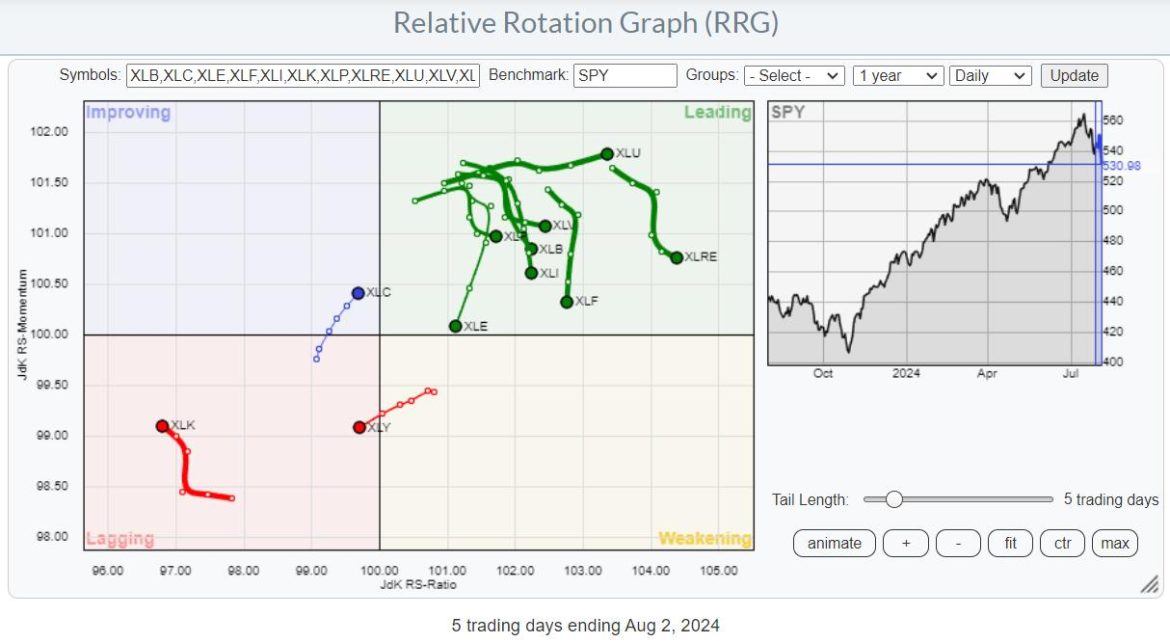 It’s been a long time Mr Bear, where have you been?